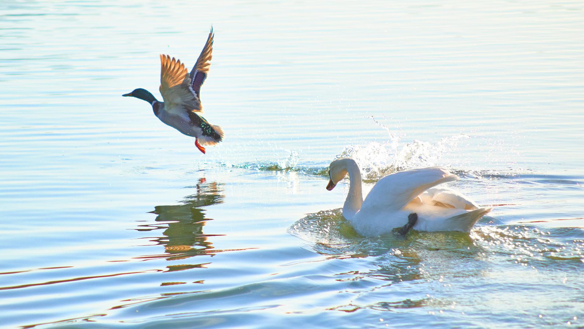 Lorem ipsum dolor sit amet, consectetur adipiscing elit